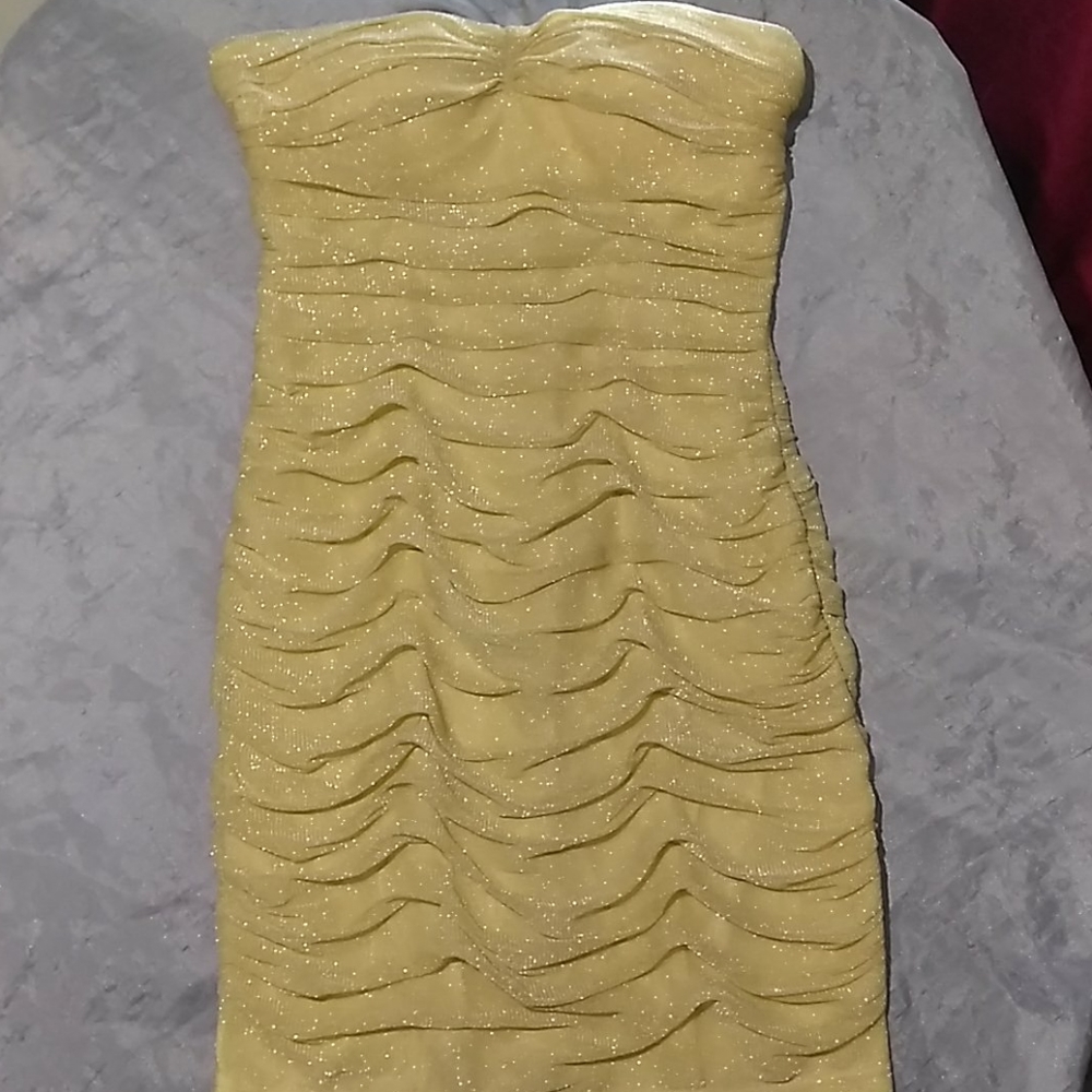 Shimmering Golden Colored Dress